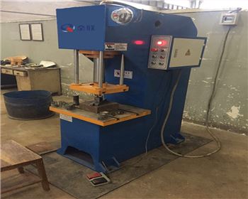 陝西(xī)奇力實業有限責(zé)任公司